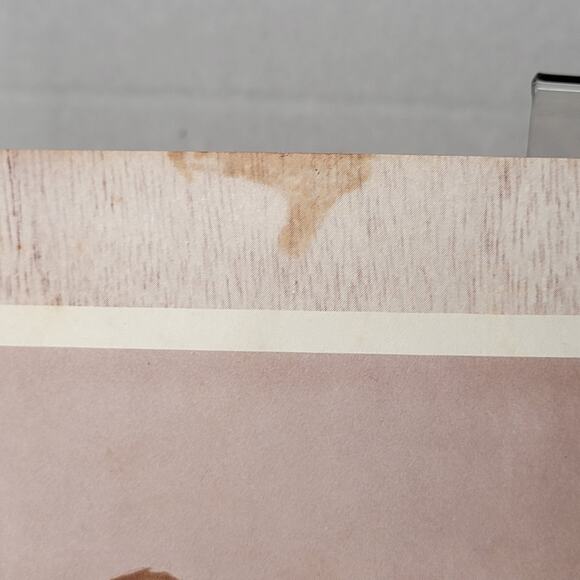 VINTAGE 1963-64 The Country Western Star Studded Souvenir Program KSE(Paperback) - Picture 5 of 7